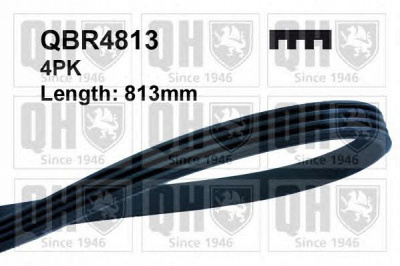 QUINTON HAZELL qbr4813 -  Поликлиновой ремень